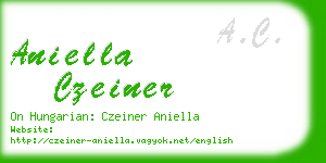 aniella czeiner business card
